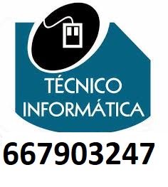 técnico informatico remoto toda españa